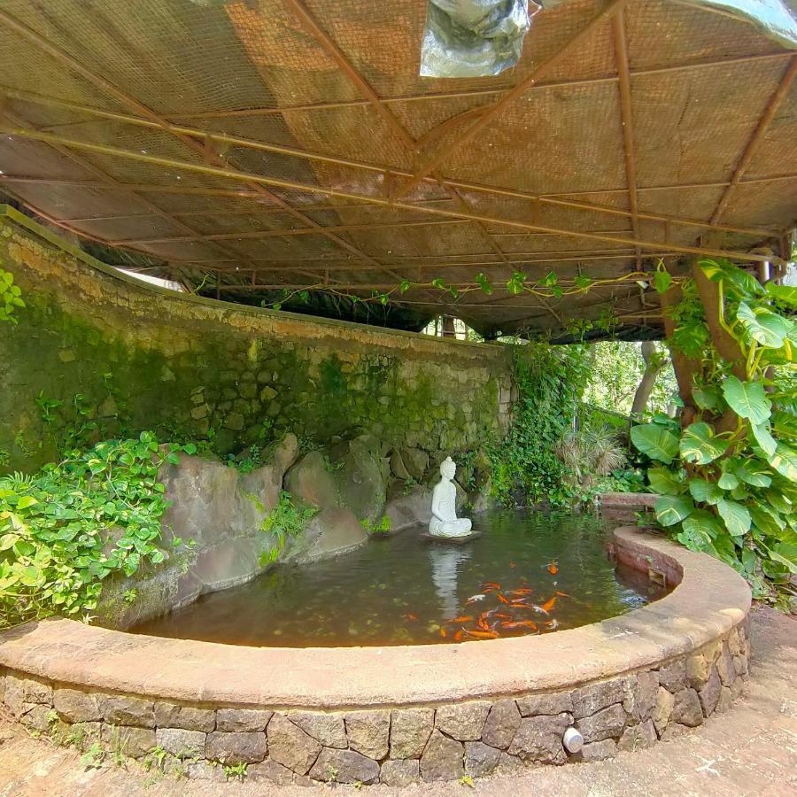 Silverador Resort Thane Εξωτερικό φωτογραφία
